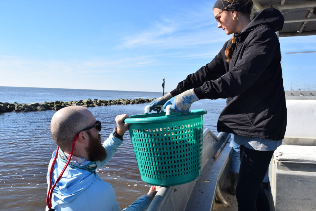 Mobile Baykeeper currently works with Auburn University’s Marine Extension and Research Center to identify appropriate sites to deploy the grown oysters, but the Baykeeper is interested in exploring the use of protected "sanctuary" reefs that are off-limits to commercial harvesting. Credit: Courtesy of Mobile Baykeeper