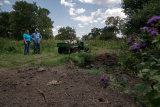 Tony and Karen Coleman stand over a plot of land where they buried a deceased calf and bull on their property in Grandview on Aug. 5. Credit: Azul Sordo for The Texas Tribune