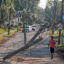 A person walks past downed power lines as South Carolina residents deal with the aftermath of Hurricane Helene on Oct. 5 in Greenwood, S.C. Credit: Joe Raedle/Getty Images
