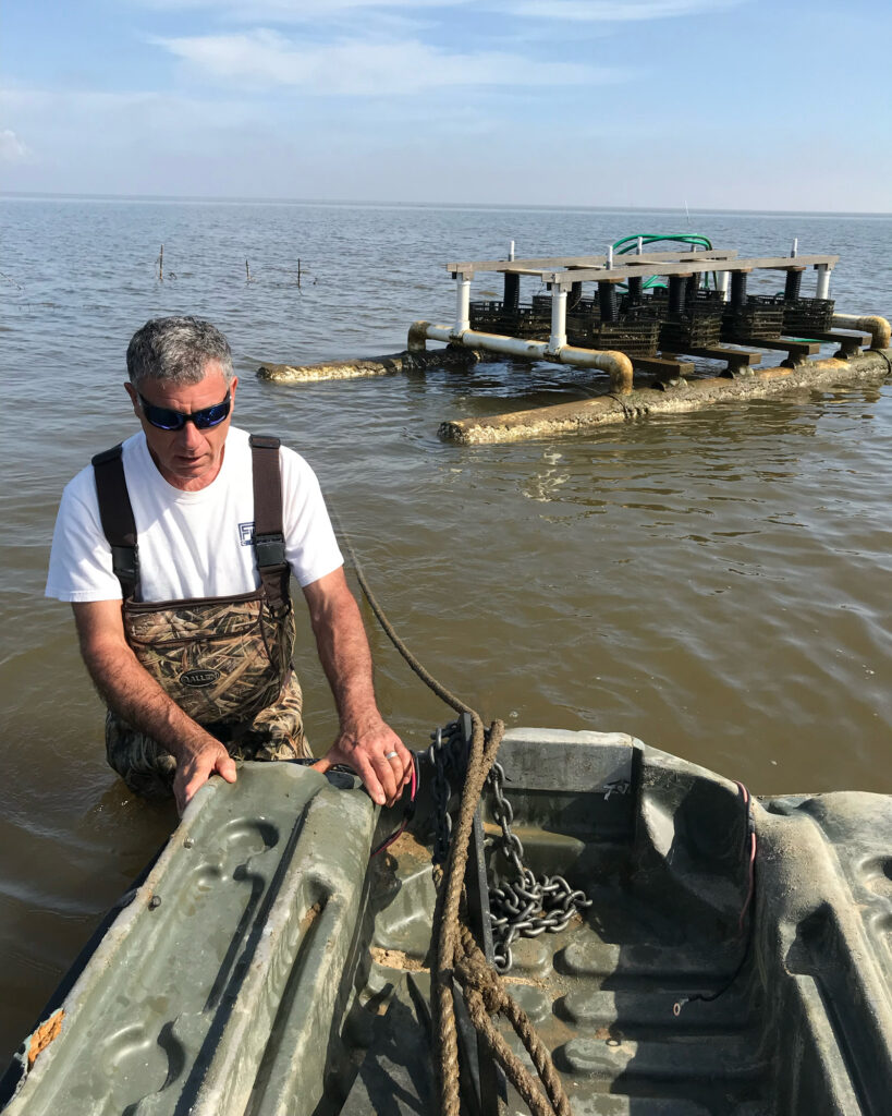 Andy Depaloa developed the Shellevator, a labor-saving, portable and submersible platform for growing oysters in racks of cages, which can be raised from the water using a compressed air system by the push of a button. Credit: Andy Depaloa