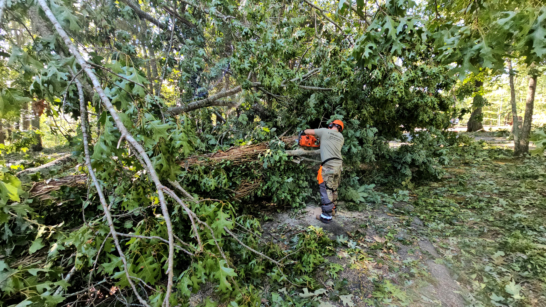 South Carolina Army National Guard soldiers clear fallen trees and debris on Sept. 29 in Greenville, S.C. Credit: Roberto Di Giovine/U.S. Army National Guard