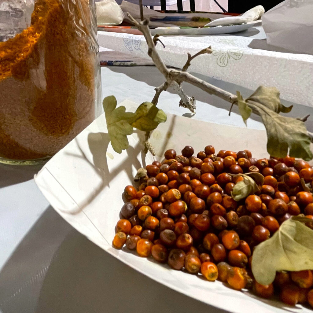 Ground and whole sumac berries are displayed at the food gathering summit held by Diné College's Land Grant Office. Credit: Noel Lyn Smith/Inside Climate News