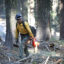 Wildland firefighters conduct a prescribed burn in the Stanislaus-Tuolumne Experimental Forest near Pinecrest, Calif. Credit: Andrew Avitt/USDA Forest Service