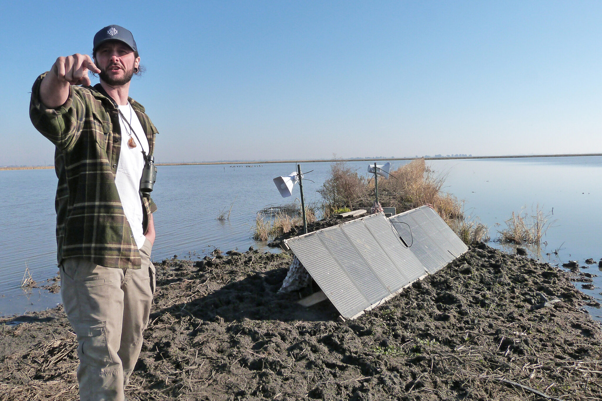 California Rice Fields Offer Threatened Migratory Waterbirds a Lifeline ...