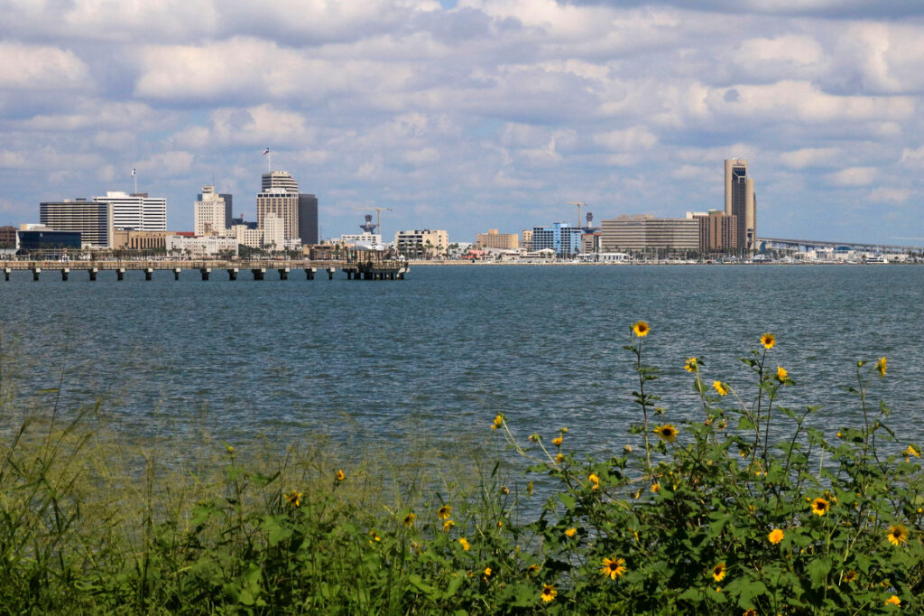A view of downtown Corpus Christi on the South Texas coast. Credit: Dylan Baddour/Inside Climate News