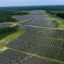 An aerial view of the Fort Powhatan solar farm in Disputanta, Va. Credit: Drew Angerer/Getty Images