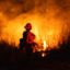 A firefighter monitors the spread of a wildfire on Jan. 13 in Oxnard, Calif. Credit: Etienne Laurent/AFP via Getty Images