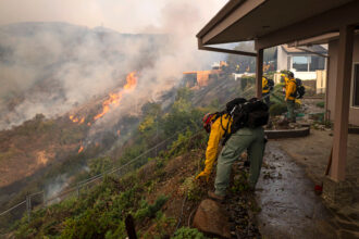 Monterey County firefighters clear shrubbery around houses in Brentwood, Calif. as the Palisades Fire grows closer on Jan. 11. Credit: Jon Putman/NurPhoto via Getty Images