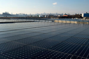 Solar panels cover the rooftop of a building in the Bronx, with a view of Manhattan in the distance. Credit: Don Emmert/AFP via Getty Images