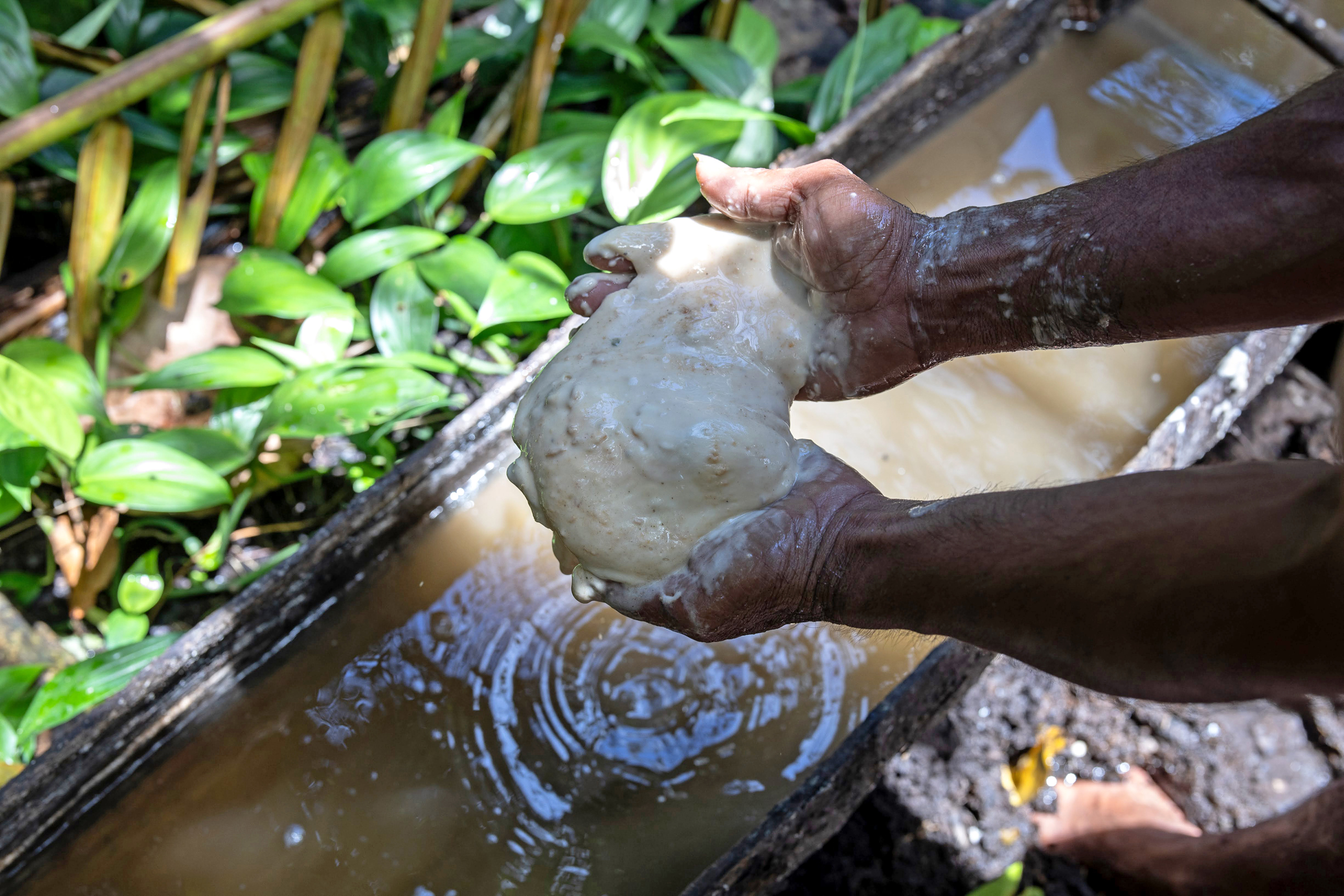 Etus Hurata processes material from sago palm trees with traditional tools inside a forest on Halmahera Island.