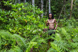 Sumean Gebe, from the O'Hongana Manyawa tribe, carries a Sulawesi bear cuscus after hunting on Aug. 19, 2024, in the dense forests of Halmahera, Indonesia.