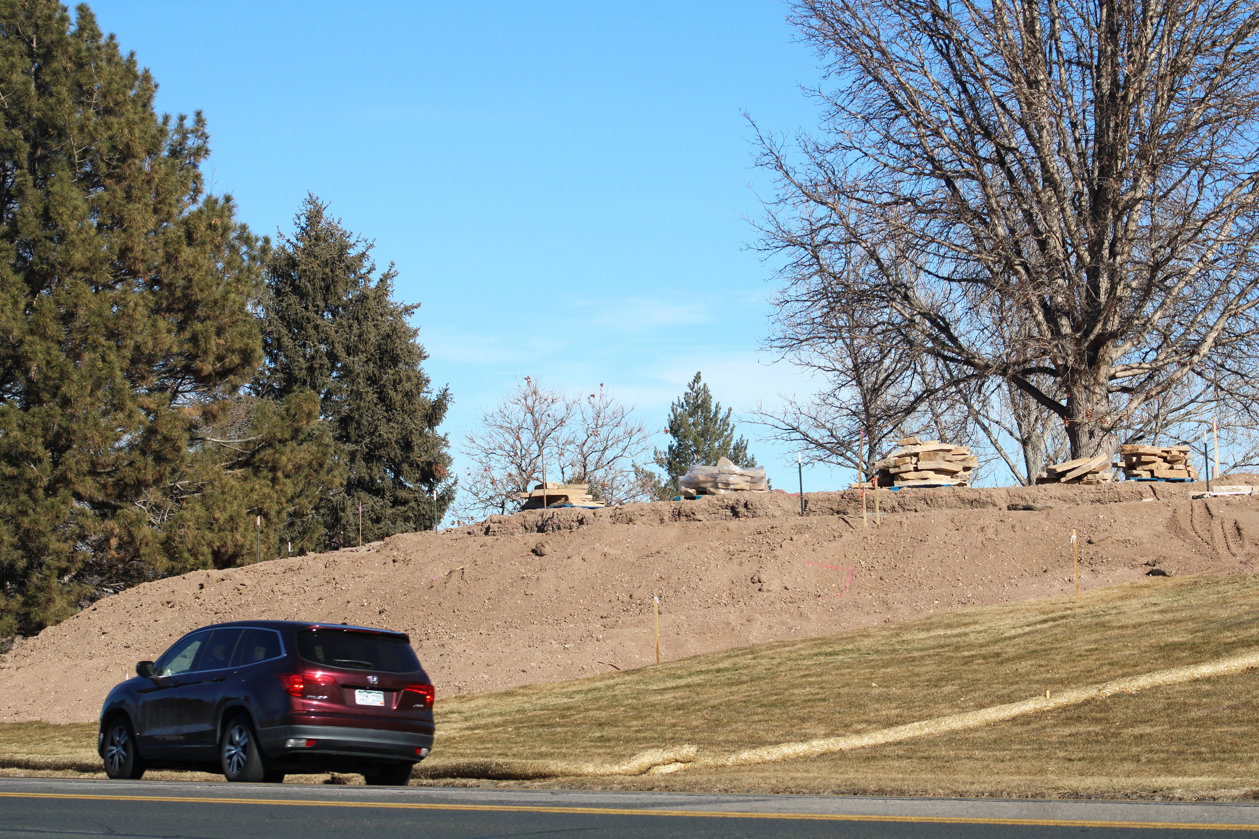 A car drives by a turf replacement project at the University of Northern Colorado on Jan. 15. Proponents of the work hope its location near a busy road, will help raise awareness about water-saving landscaping. Credit: Alex Hager/KUNC