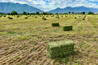 A view of bales in the Great Salt Lake basin. Credit: Brian Richter/Sustainable Waters