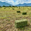 A view of bales in the Great Salt Lake basin. Credit: Brian Richter/Sustainable Waters