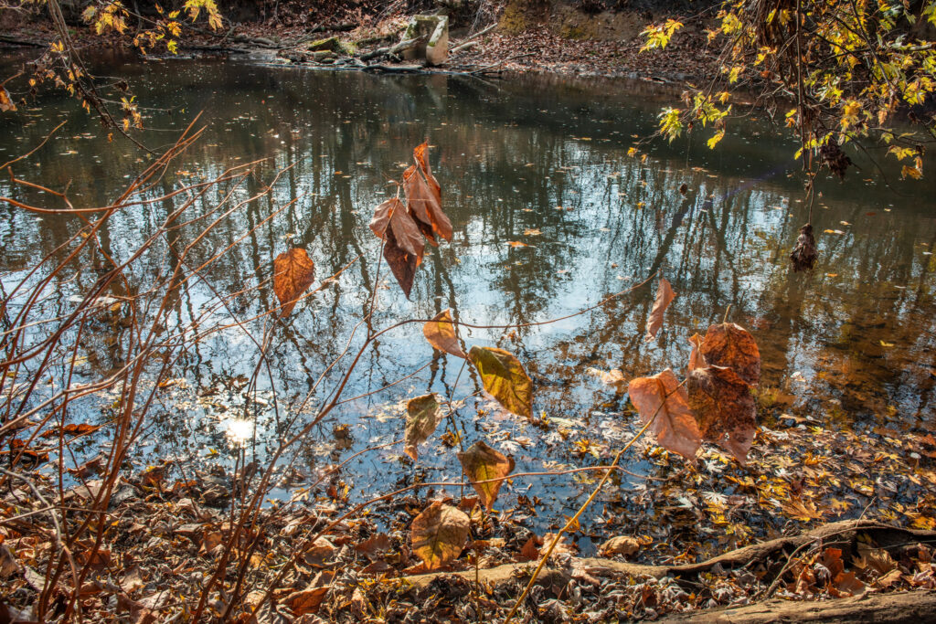 A view of Sewickley Creek in Yukon, Pa. Credit: Scott Goldsmith/Inside Climate News