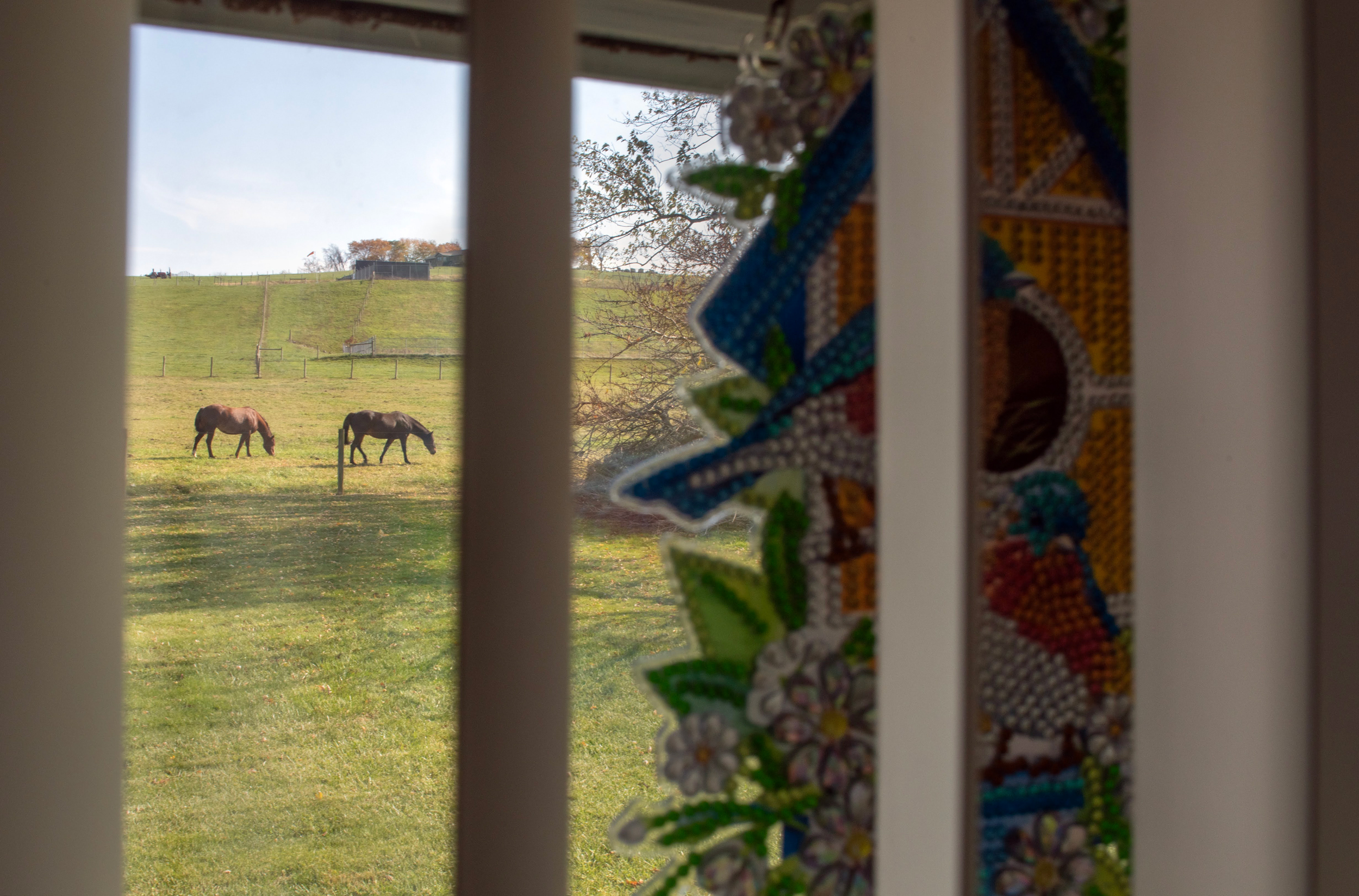 A view from the kitchen of a home near the Max Environmental landfill in Yukon, Pa. Cattle and horses have gotten sick after drinking contaminated water from the landfill. Credit: Scott Goldsmith/Inside Climate News