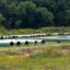 Sections of steel pipe owned by the Mountain Valley Pipeline in Lindside, W.Va. Credit: Robert Nickelsberg/Getty Images