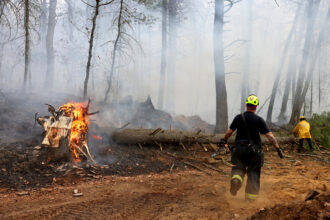 Firefighters battle a brush fire inside Boxford State Forest in North Andover, Mass. on Nov. 18, 2024. Credit: Jessica Rinaldi/The Boston Globe via Getty Images