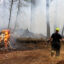 Firefighters battle a brush fire inside Boxford State Forest in North Andover, Mass. on Nov. 18, 2024. Credit: Jessica Rinaldi/The Boston Globe via Getty Images