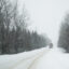 A logging truck drives through a forest in Allagash, Maine. Credit: Gabe Souza/Portland Portland Press Herald via Getty Images