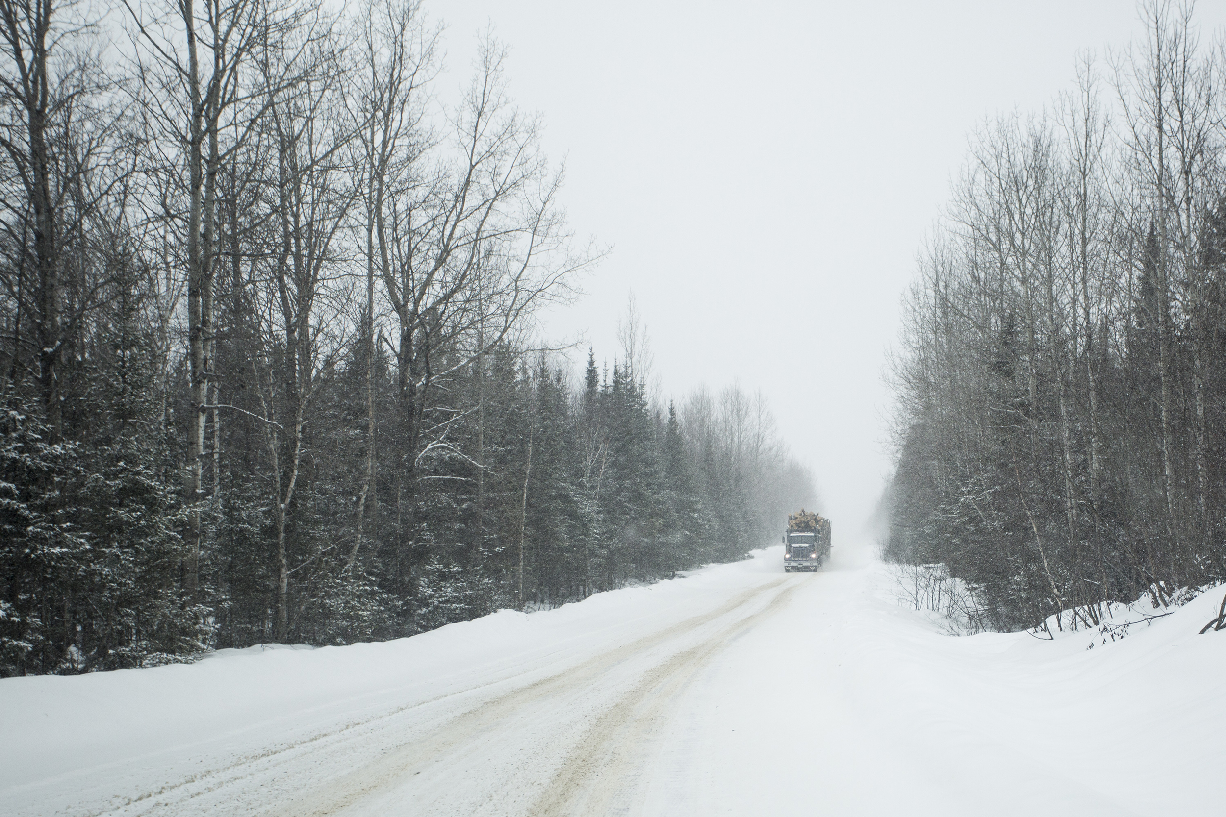 A logging truck drives through a forest in Allagash, Maine. Credit: Gabe Souza/Portland Portland Press Herald via Getty Images