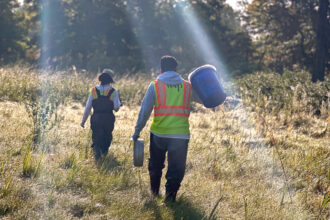 The consulting firm WSP was hired to restore Staten Island’s Saw Mill Creek Marsh and monitor it for 5 years. Credit: Courtesy of WSP