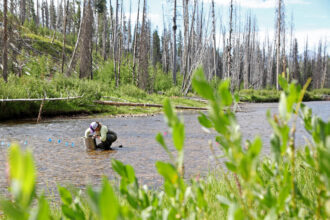 A fish biologist collects samples from a river in Idaho’s Payette National Forest. Credit: Kelly Martin/U.S. Forest Service