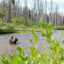 A fish biologist collects samples from a river in Idaho’s Payette National Forest. Credit: Kelly Martin/U.S. Forest Service