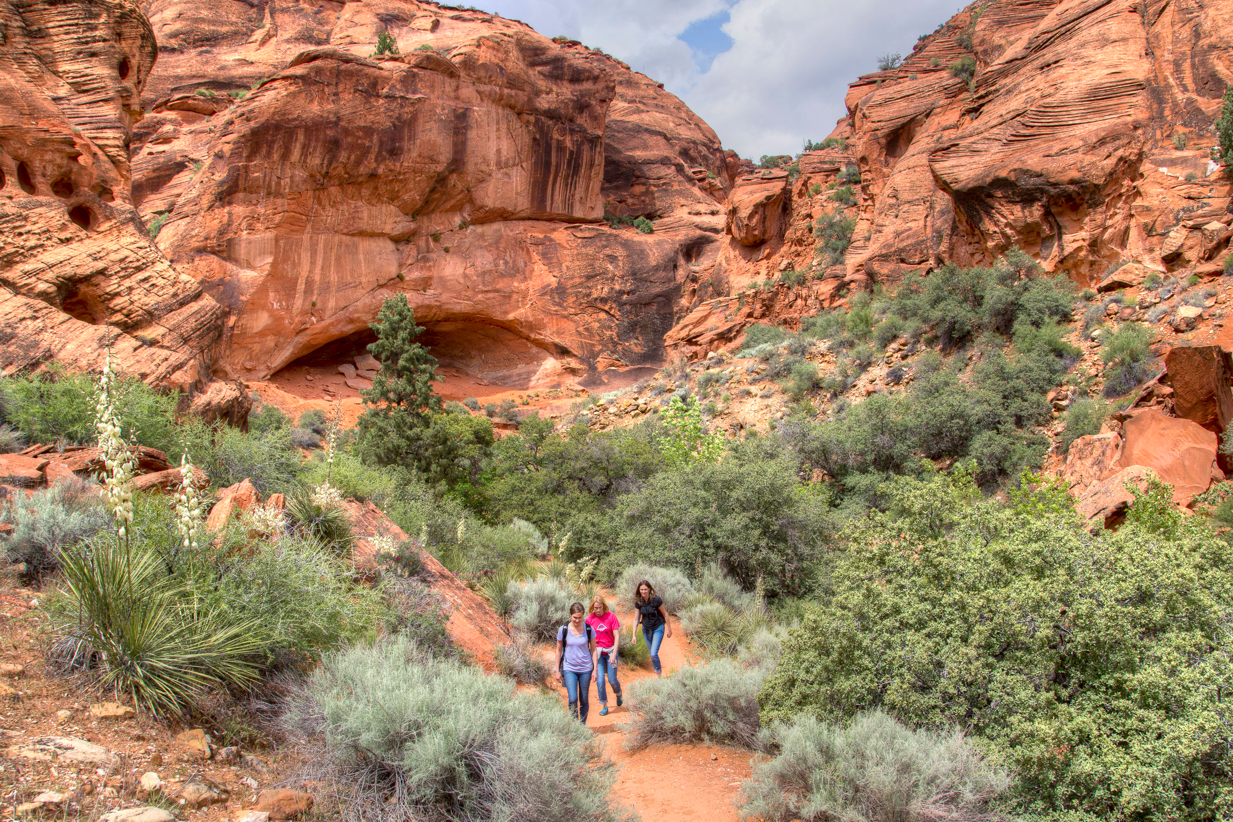 People walk through the Red Cliffs National Conservation Area, designated during Obama administration, in Washington County, Utah. Credit: Bob Wick/BLM