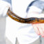 The Great Lakes sea lamprey control program is tasked with targeting the invasive eel that threatens fish across the region. Credit: A. Miehls/Great Lakes Fishery Commission