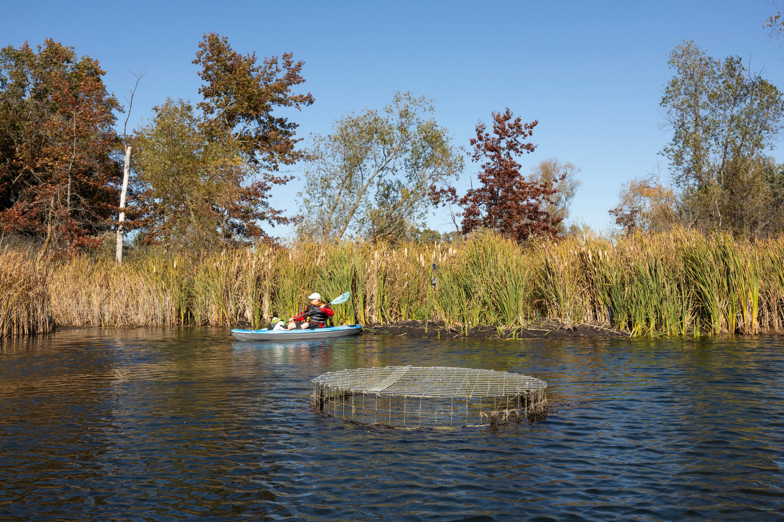 Katie McCullough, 55, paddles across a pond on her property near Rio, Wis. McCullough installed a pond leveler on her property after discovering an active beaver lodge and dam. Credit: Joe Timmerman/Wisconsin Watch