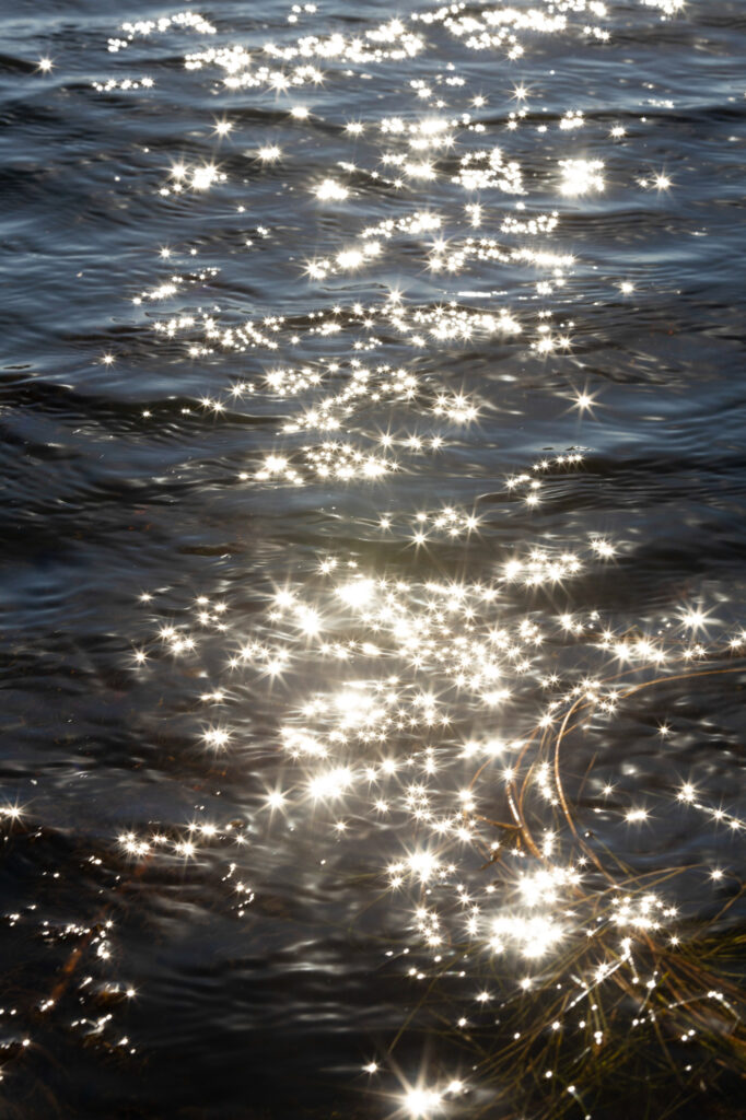 The afternoon sun shines on the surface of Katie McCullough’s pond on her property on Oct. 18, 2024, near Rio, Wis. Credit: Joe Timmerman/Wisconsin Watch