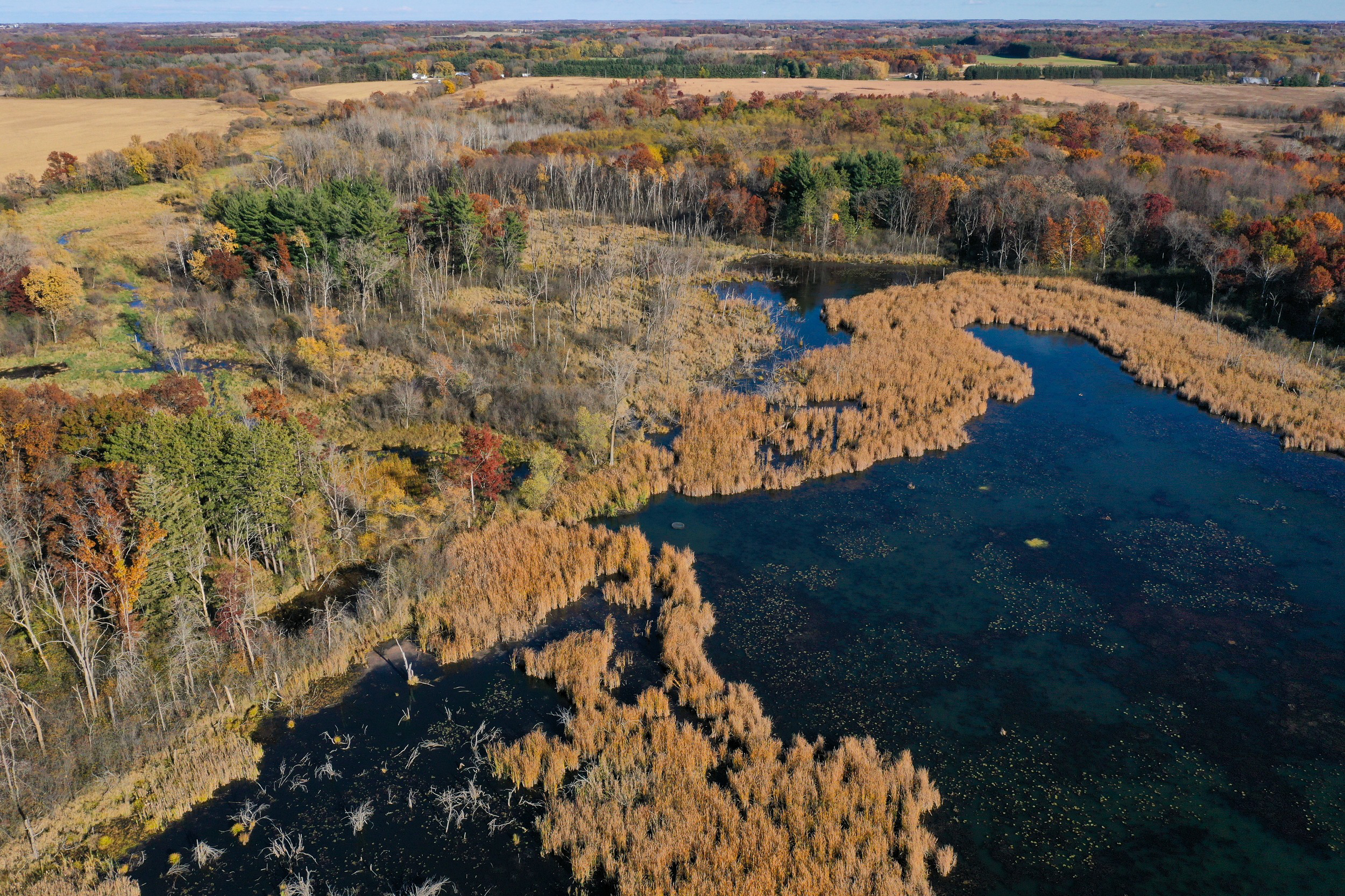 Katie McCullough’s pond leveler is placed alongside a beaver dam on her property. Credit: Joe Timmerman/Wisconsin Watch