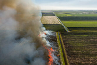 When sugarcane fields are burned, the fires emit large plumes of smoke and rain ash across three counties. Residents call the ash “black snow.” Credit: Courtesy of Friends of the Everglades