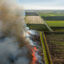 When sugarcane fields are burned, the fires emit large plumes of smoke and rain ash across three counties. Residents call the ash “black snow.” Credit: Courtesy of Friends of the Everglades