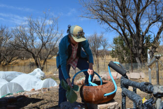 Cheridyn Egan washes a collard green at Borderlands Restoration Network’s Borderlands Earth Care Center on March 3 in Patagonia, Ariz. Credit: Wyatt Myskow/Inside Climate News