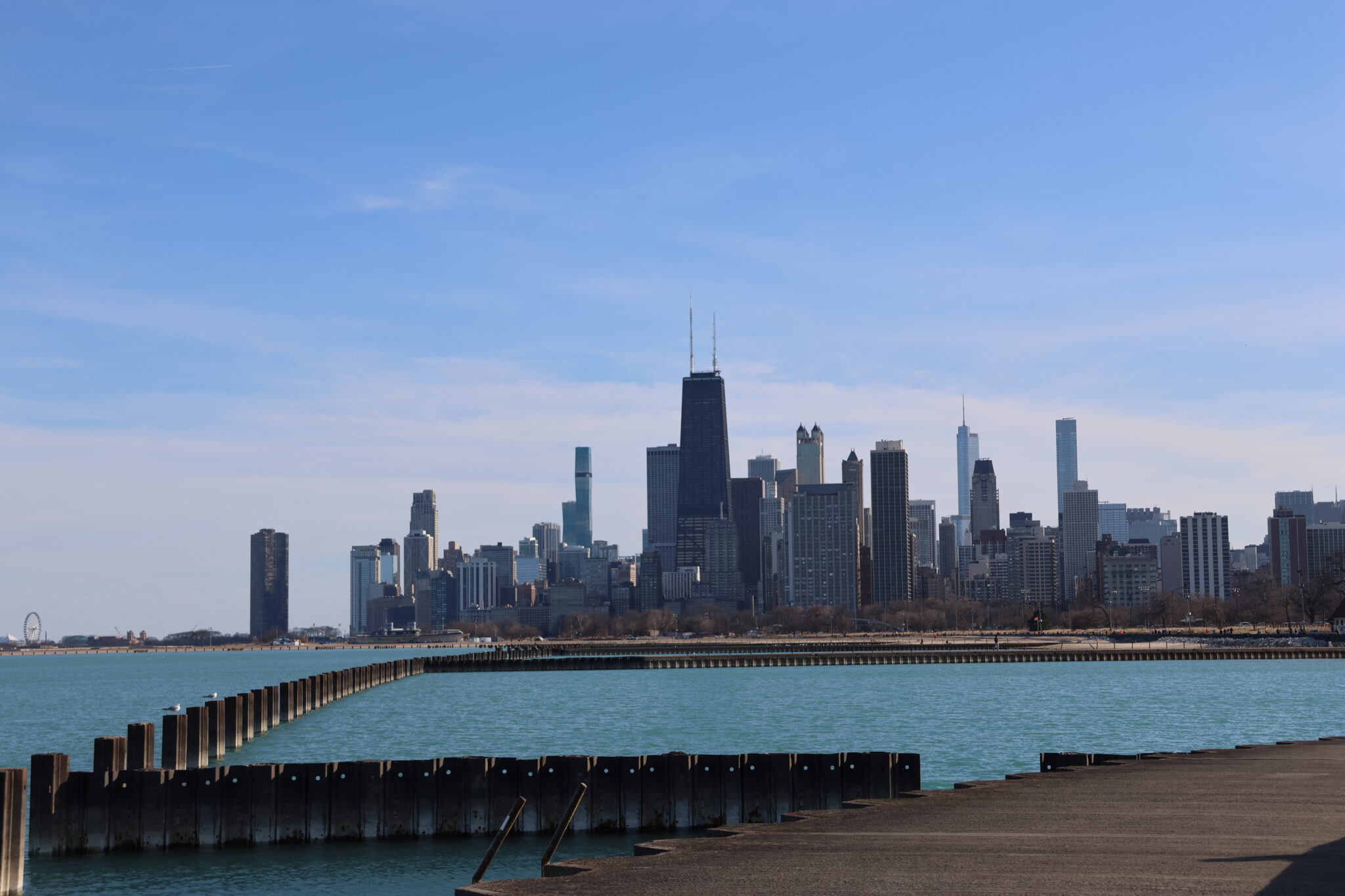 Lake Michigan and the Chicago skyline. Credit: Lily Carey