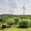 A view of a wind farm in Papalote, Texas. Credit: Brandon Bell/Getty Images