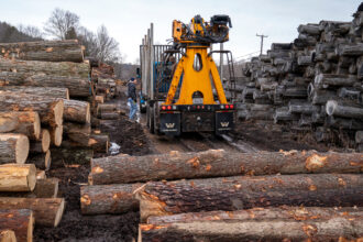 A lumber company in Preston Hollow, N.Y. receives a delivery of timber on March 28, 2023. Credit: Robert Nickelsberg/Getty Images