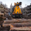 A lumber company in Preston Hollow, N.Y. receives a delivery of timber on March 28, 2023. Credit: Robert Nickelsberg/Getty Images