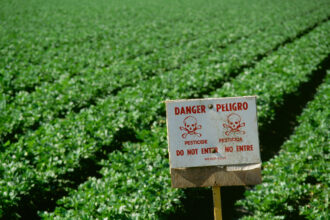 A warning sign is posted at the edge of a celery farm to indicate the field is unsafe to enter shortly after an application of pesticide in Salinas Valley, Calif. Credit: Jack Clark/Universal Images Group via Getty Images
