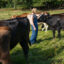 Annabel Williams, an apprentice at Wolfe’s Neck Center for Agriculture and the Environment, interacts with some of the cows during her chores round on Sept. 17, 2024.