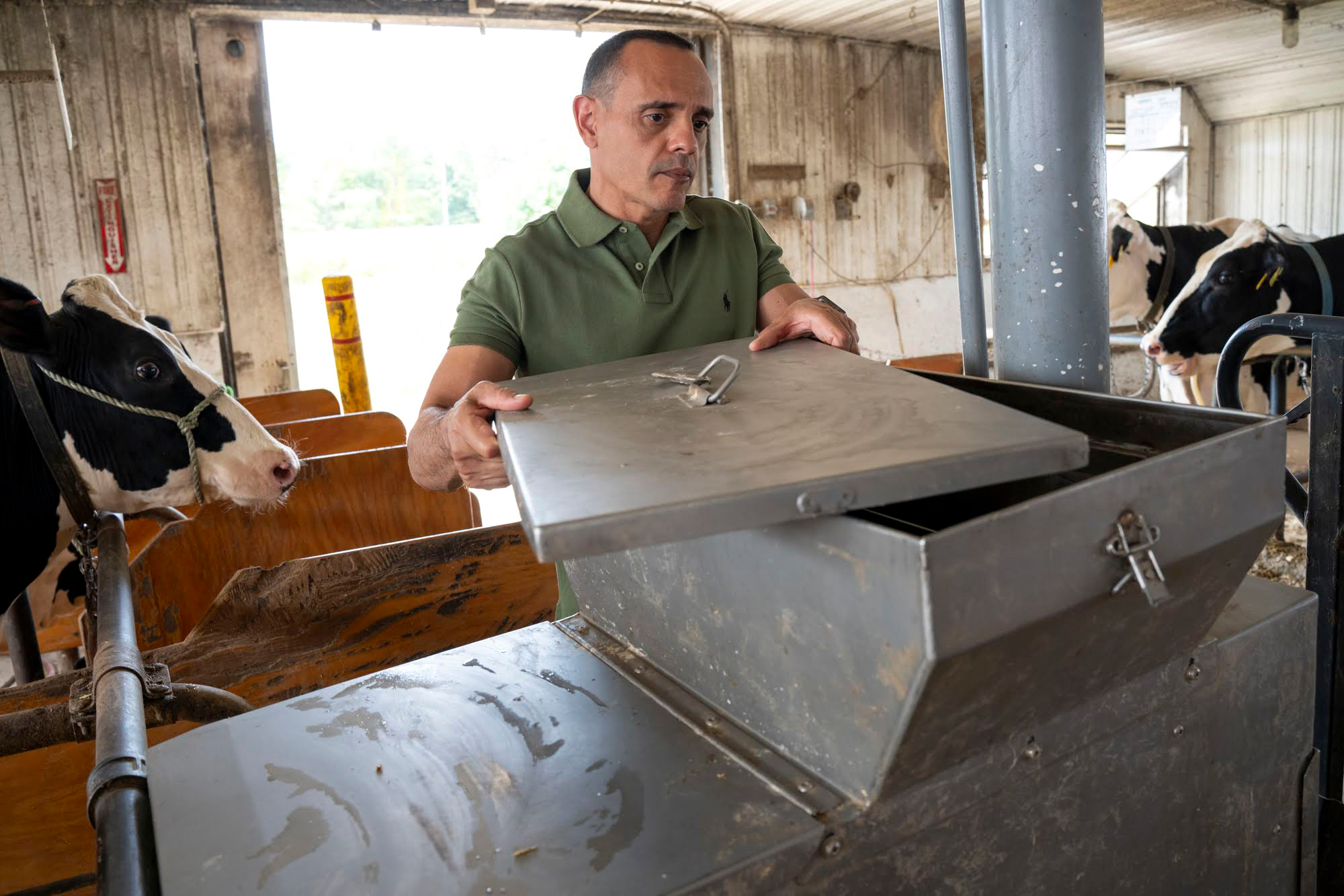 Andre Brito, associate professor of dairy management at the University of New Hampshire, opens the top of the ‘Green Feed System’—a tool to measure the methane emissions of a cow—in the New Hampshire University dairy barn on September 18, 2024.