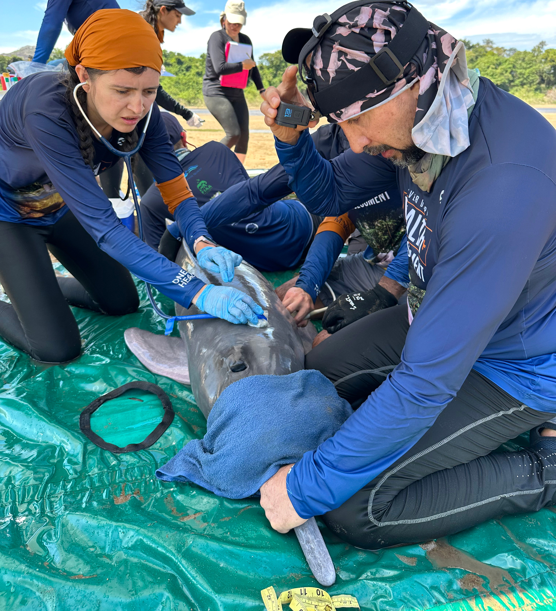 One Man’s Quest to Protect Pink River Dolphins - Inside Climate News