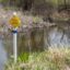 In Washington Township, Mich., a gas pipeline in wetlands in Stony Creek Metropark. Credit: Jim West/UCG/Universal Images Group via Getty Images