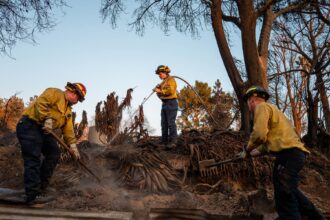 Woodland firefighting bootcamps geared toward women have offered a less intimidating entry point into the male-dominated field, where approximately 13 percent of firefighters are women. Credit: Brandon Bell/Getty Images