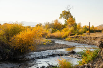 A view of the North and South forks of the Little Wind River meet near Ft. Washakie, the site of a new stream gauge. Credit: Jake Bolster/Inside Climate News