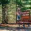 A Smokey Bear sign warns against wildfire in Brendan T. Byrne State Forest in the New Jersey Pine Barrens. Credit: Anna Mattson/Inside Climate News