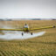 An Air Tractor sprays pesticides on a farm in Whittemore, Iowa. Charles Ommanney/The Washington Post via Getty Images