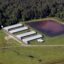 A hog farm in eastern North Carolina. Credit: Rick Dove